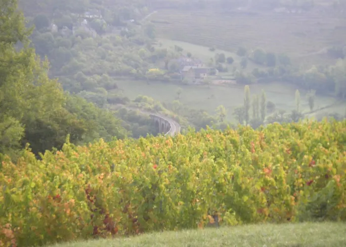 Maison Isolee Dans Les Vignes Et Les Bois