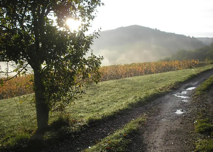 Maison Isolee Dans Les Vignes Et Les Bois