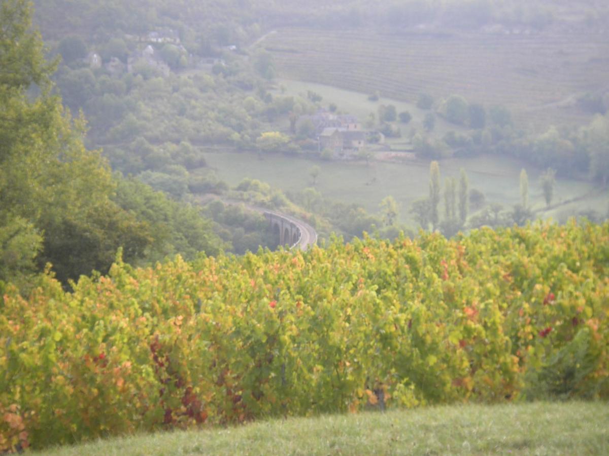 Maison Isolee Dans Les Vignes Et Les Bois Vakantiehuis Valady