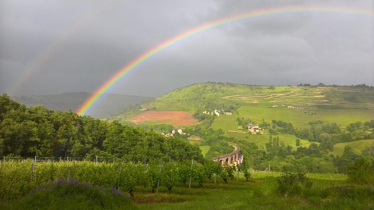 Maison Isolee Dans Les Vignes Et Les Bois