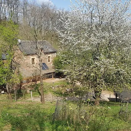 Maison Isolee Dans Les Vignes Et Les Bois Valady Exterior photo