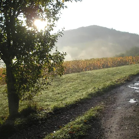 Maison Isolee Dans Les Vignes Et Les Bois Valady Exterior photo