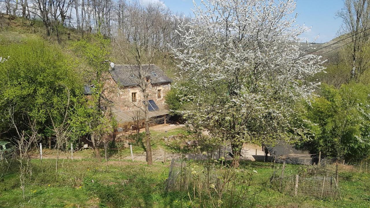 Maison Isolee Dans Les Vignes Et Les Bois Holiday home *
