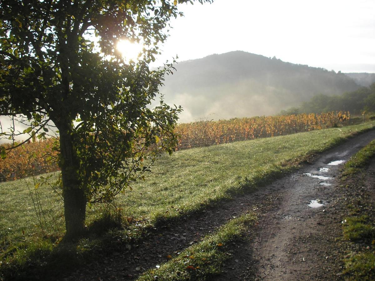 Maison Isolee Dans Les Vignes Et Les Bois Valady
